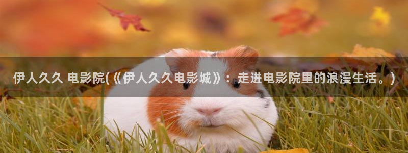 伊人国内精品免费视屏l：伊人久久 电影院(《伊人久久电影城》：走进电影院里的浪漫生活。)