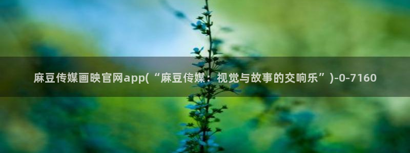 麻豆专题描述：麻豆传媒画映官网app(“麻豆传媒：视觉与故事的交响乐”)