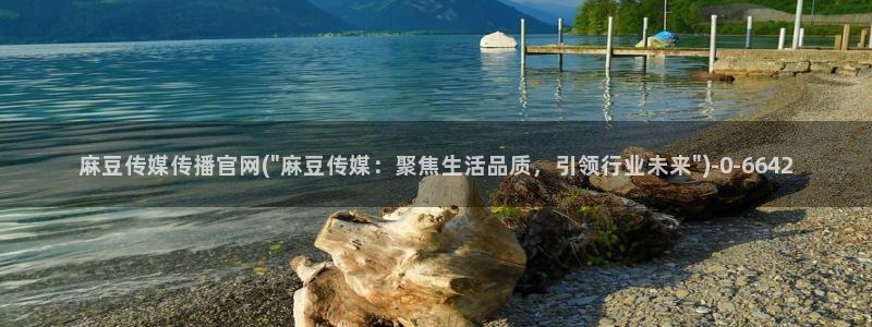 麻豆内容模板：麻豆传媒传播官网(\