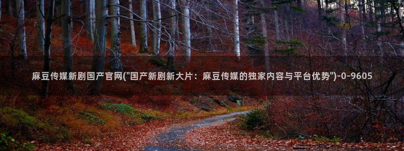 麻豆视频用户体验：麻豆传媒新剧国产官网(\