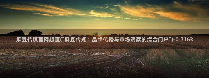 麻豆内容优化：麻豆传媒官网频道(\