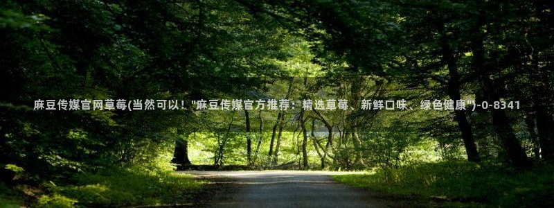 麻豆视频下载