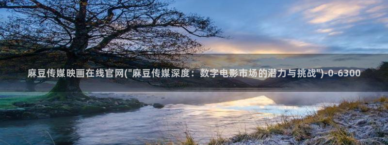 麻豆视频资料维护：麻豆传媒映画在线官网(\