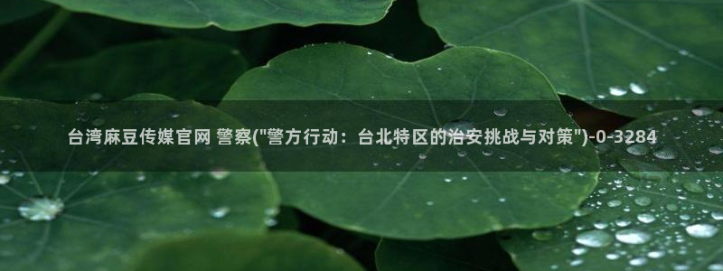 麻豆演员：台湾麻豆传媒官网 警察(\