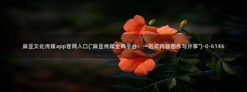 麻豆视频解说文案