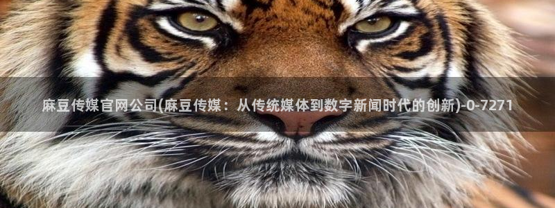 麻豆资料页：麻豆传媒官网公司(麻豆传媒：从传统媒体到数字新闻时代的创新)