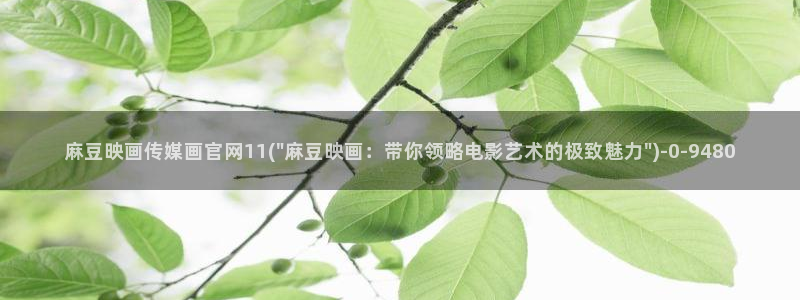 麻豆视频导航：麻豆映画传媒画官网11(\