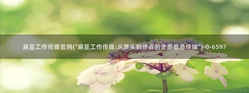 麻豆视频站：麻豆工作传媒官网(\