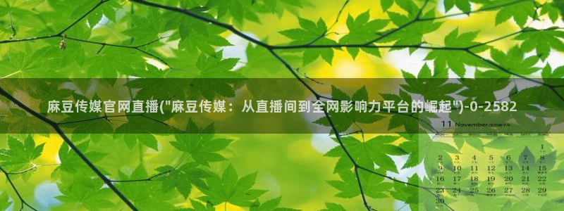 麻豆资料页