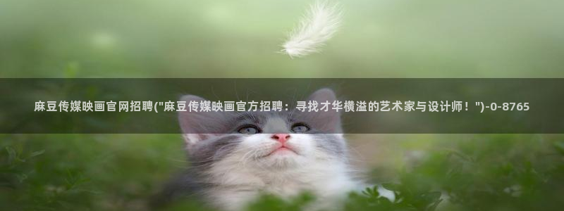 麻豆视频文章描述