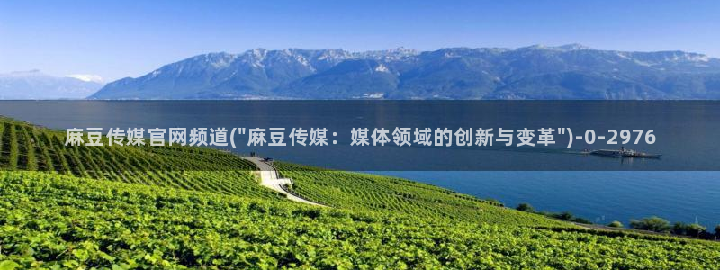 麻豆视频低竞争词