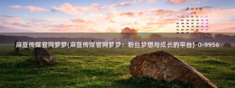 麻豆视频页面关键词