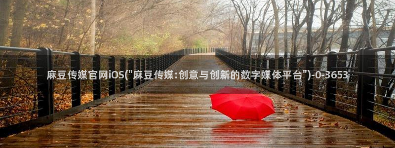 麻豆内容服务