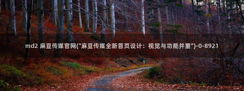 麻豆视频标签规划