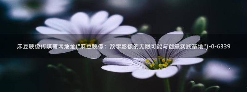 麻豆视频资讯文案