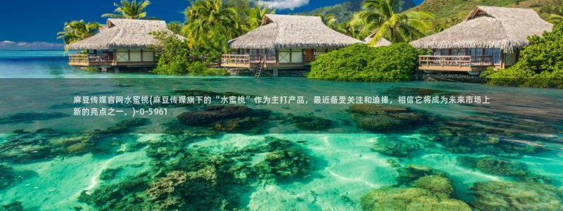 麻豆视频页面结构
