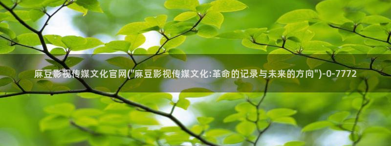 麻豆视频站关键词