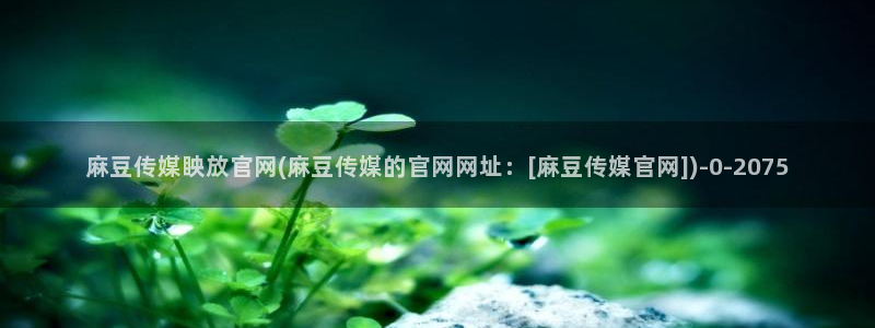 麻豆在线视频